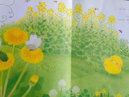 绘本故事《小鸡球球和向日葵》#绘本故事