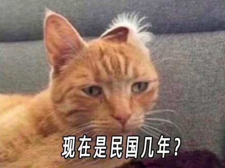 是狮子/金牛/天蝎/射手/摩羯/白羊了