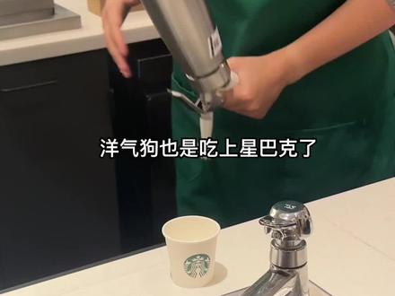 我们家小哼也是吃上星巴克免费奶油啦#泰迪 #萌宠出道计划 #萌宠日常记录