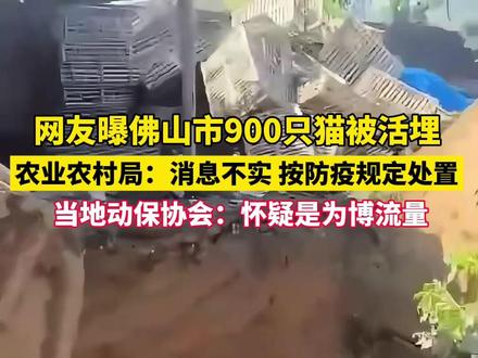 #官方回应网传900只猫被活埋,当地农业农村局:消息不实 按防疫规定处置