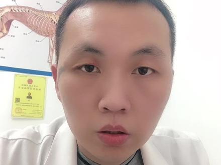 狗狗到底应该不应该剃胎毛#宠物医师 #萌宠出道计划
