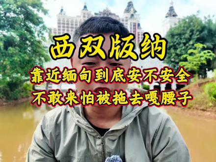西双版纳到底安不安全,能不能去 西双版纳非常安全,放心出游,不要轻信网络谣言#西双版纳 #西双版纳安全吗 #西双版纳旅游 #西双版纳边境 #西双版纳旅游攻略