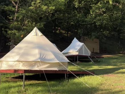 返乡创业之挥金如土 #返乡创业 #伊春