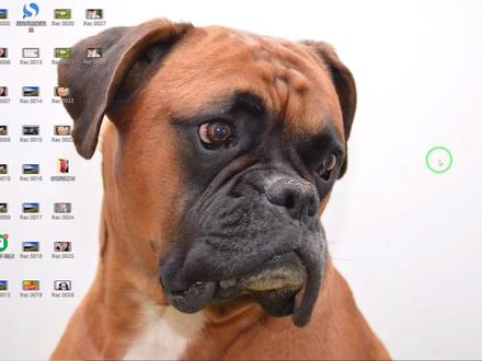 如何让电脑任务栏自动隐藏