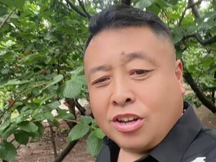 这场雨给种樱桃的果农造成多大的损失!
