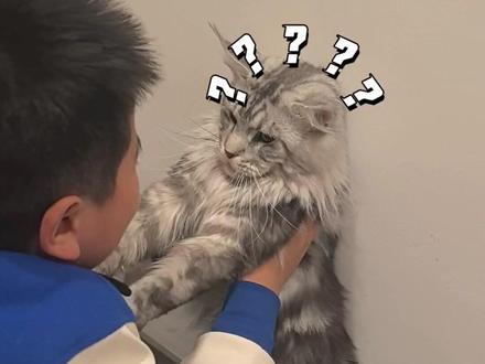 #疯狂动物城2
后劲太大了~