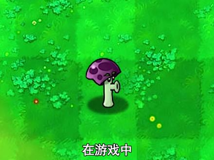 植物大战僵尸:不同版本中的胆小菇,都有哪些区别?