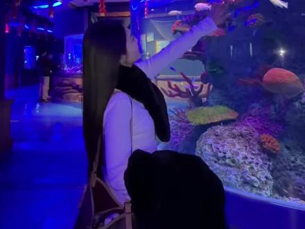 太浪漫了!石家庄极地海洋世界春节游玩攻略来啦!#现在出发直达海底隧道#石家庄极地海洋世界#春节去哪玩