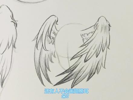 翅膀耳朵怎么画?我教你啊#绘画 #翅膀 #上热门🔥 #oc