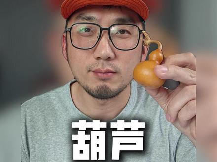 挑战100期视频了解100种文玩之——葫芦#文玩葫芦 #葫芦 #文玩 #文玩人 #文玩知识