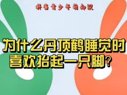 青少年科普,涨知识。《十万个为什么》之动物世界,三章,翱翔鸟类,为什么丹顶鹤睡觉时喜欢抬起一只脚? #科普 #动物世界 #动物 @DOU+小助手