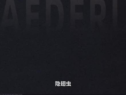 物种丰富的“害虫天敌”——隐翅虫#隐翅虫