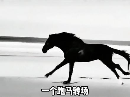 几千年来唯一霸王项羽#项羽#楚汉争霸#刘邦#历史