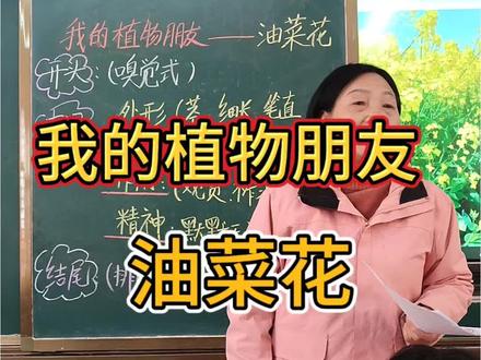我的植物朋友~油菜花#三下 #写作技巧方法 #课堂实录片段