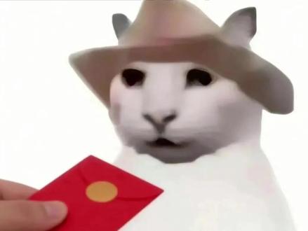 老高被罚五亿真假#辟谣 #每周热点