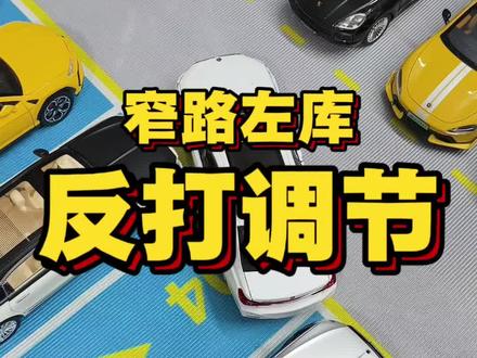 窄路倒库反打调节方法讲解… #杭州汽车陪驾张教练 #新手上路 #倒车入库 #侧方停车 #驾驶技巧 @上了年纪的郭某