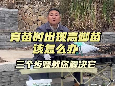育苗时出现高脚苗或者豆芽苗该怎么办? #三农#育苗#有机种植#种植#蔬菜