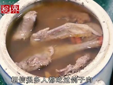 为什么杀鸽子时不能放血,只能用水淹死?老人说出重点