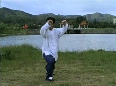 傅清泉-杨氏太极拳嫡传,精讲85式太极拳#太极养生 #太极
