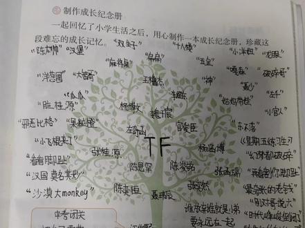 TF家族,六年级下册语文书99页可模仿。#升级版