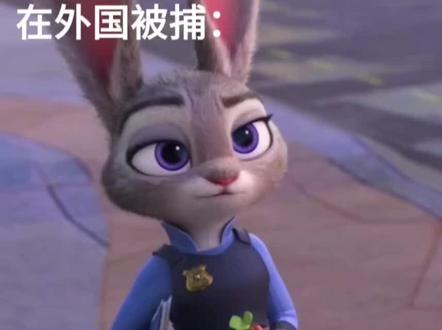 在国外被捕vs在国内被捕#熊出没 #疯狂动物城