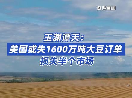 玉渊谭天:#美国或失1600万吨大豆订单 损失半个市场
2025 年美国大豆丰收季,豆农却面临大豆积压困境。据中国主要粮食码头数据,2025 年 1-9 月美国粮食运输船靠岸艘次同比降 56%(从 72 艘至 32 艘),7 月起更是零靠岸;而 5 月以来,南美(巴西、阿根廷、乌拉圭等)粮食船月均靠岸 40 多艘,90% 运大豆。
大豆是美国重要出口农产品,2024 年出口额 245.8 亿美元(占美农产品出口 14%),其中超半数(126.4 亿美元、近 2700 万吨)销往中国。2025 年 1-7 月美对华大豆出口仅 590 万吨,且中国 5 月起停购。外媒预测,若中国 11 月中旬前不恢复采购,美或失 1400-1600 万吨大豆订单。