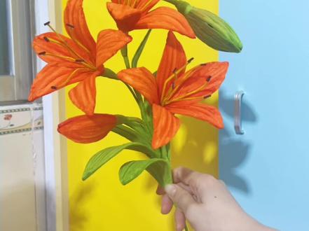 扭扭棒教程15-百合花🌸
花自开,我自赏,风自来,我们终会上岸。#手工作品分享 #创作者中心 #创作灵感 #扭扭棒教程 #百合