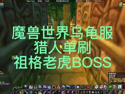 60级猎人单刷祖格老虎BOSS