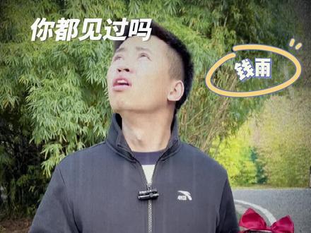 罕见的三种雨,你见过吗?#科普一下 #涨知识 #罕见的雨 #育儿