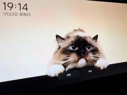 理想汽车OTA升级到8.2版本之后动态屏保真好看啊,一起设置一下吧#理想汽车 #OTA #汽车功能 #屏保 #毛孩子的日常