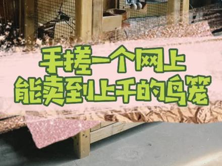 自己动手制作一个豪华鸟笼#虎皮鹦鹉 #手工diy #鸟笼#手工打造 #手搓鸟笼