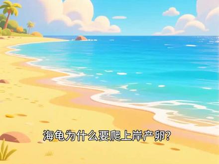 海龟为什么要爬上岸产卵?#少儿动画片推荐 #科普 #学前启蒙 #儿童动画 #益智动画 @DOU+小助手