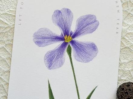 超治愈彩铅画教程|手把手教你画一朵温柔的紫色小花~ 谁能拒绝一朵温柔的紫色小花呢?今天这幅彩铅教程,我从线稿到成品,一步一步教你画!先用铅笔轻轻勾出花瓣的轮廓,再用彩铅铺底色、叠色,画出花瓣的通透感,花茎的绿色也是一层一层叠出渐变的质感,最后用黄色提亮花心,一朵超温柔的小花就完成啦~全程无删减,毫无保留分享我的绘画技巧,希望你们也能感受到彩铅的魅力呀~
#画画我是认真的 #画画教程 #一起画画 #零基础学画画 #一起学画画
