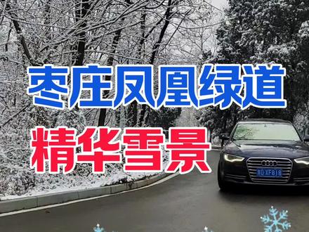 雪后的枣庄凤凰绿道秒变童话世界,山东枣庄精华雪景应该是这里 大师兄啊,这天怎么这么冷啊?一到冬天就被山东的雪刷屏了!#创作者扶持计划 #雪景 #雪景美如画 #一到冬天就被山东的雪刷屏了 #上热门🔥