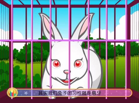 十万个为什么!
为什么兔子爱磨牙?