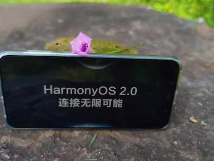 鸿蒙4.0降到2.0拍照有明显的变化,多了高像素拍摄慢镜头更好用了#华为p50e #鸿蒙降级 #鸿蒙4.0降级 #微距摄影 #手机拍摄技巧