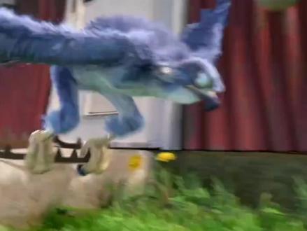 笨鸟大冒险,12月4号一起来成长#动画电影