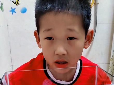 螃蟹竟然会主动把自己的蟹壳打开?#生活成长计划 #doudream创作者计划 #亲子 #萌娃搞笑日常 #陪伴孩子的美好时光