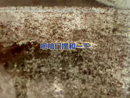 #海水之舞 #海缸 #海水鱼 #观赏鱼 #珊瑚海 #养鱼 #海水鱼缸 #海洋 #实验 #热带鱼 魔法鱼孵化