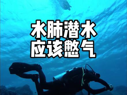 想玩好水肺潜水,要学会憋气! 上期视频有提到水肺潜水最重要的的规则是“不能憋气”,以及憋气在水肺潜水中是如何对人体造成伤害。
这期我们再来说说为什么水肺潜水也应该憋气。
大家在调整自己孚力的时候有没有发现一个问题,无论是BCD的充排气,还是你的吸气或吐气,它导致的孚力变化总是在2-3秒之后产生。
也就是说当我们飘的时候,虽然吐光了气,但马上再吸回来你依然还是会飘上去,所以我们在需要稍微下潜一些的时候,吐掉的气等3-5秒再吸,才会让你不会飘上去。
而当我们需要自己上浮一些的时候也需要吸饱之后等一下再吐掉。
这样才是有效的控制我们的孚力,而这两种情况并没有大范围的深度变化,也对我们的身体没有伤害。
当然,大家还是需要在调整孚力的时候紧盯电脑表,避免深度大范围变化而不自知。
下期分享一个我调整中性孚力的小窍门!
#潮流运动笔记 #创作者中心 #创作灵感 #水肺潜水 #潜水女孩