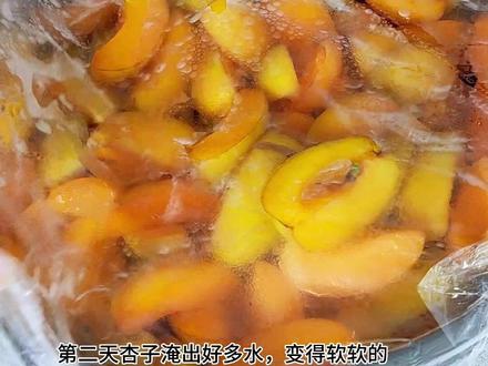 吃不完的杏子做成杏干,酸酸甜甜有嚼劲,放冰箱存放几个月不会坏,没有添加剂,吃着还放心#杏干制作 #纯天然无添加 #记录真实生活
