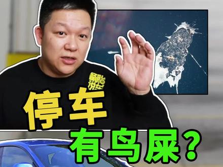 车停树下都是鸟屎虫胶,怎么办 #停车 #汽车保养知识 @抖音汽车 @抖音小助手