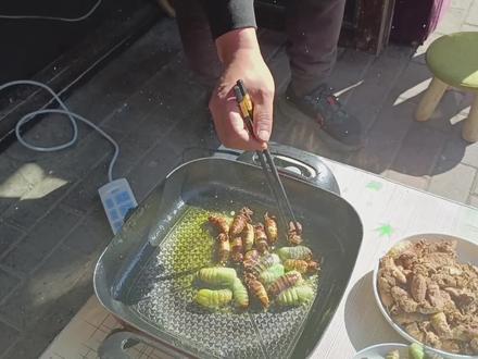东北特产满籽母蛾烤着吃真香,嚼在嘴里放炮的感觉,真解压 #蚕蛾 #蛾 #东北农村生活 #三农 #养殖