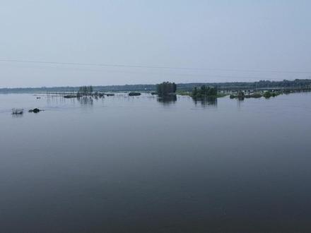 天津东淀蓄滞洪区,“最可爱的人”进驻,静海和西青稳了 #你好天津 #点赞天津 #东淀蓄滞洪区 #独流减河