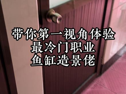 贝贝们谁的鱼缸落我家了?#鱼缸造景#草缸造景#第一视角