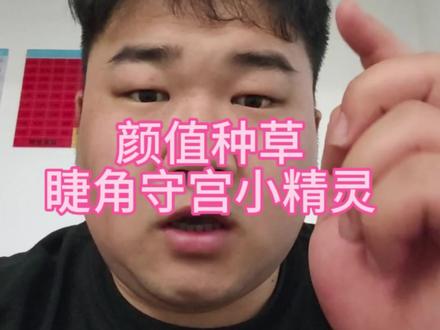 颜值种草睫角守宫#睫角守宫 #守宫 #异宠