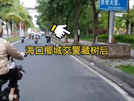 海口的交警藏身术 来吧 自投罗网吧 😅😅😂😂#海口 #海口同城 #现场实拍