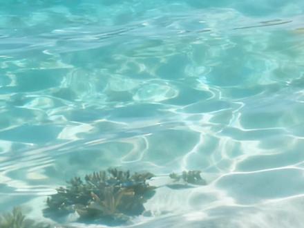 你没见过的生物 #剧情#科普#安全