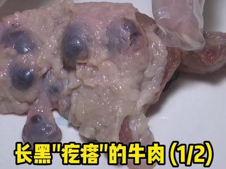 冻牛肉里长出黑疙瘩!难道是肉长了肿瘤!#食品安全 #同城推荐 #天津同城@抖音小助手