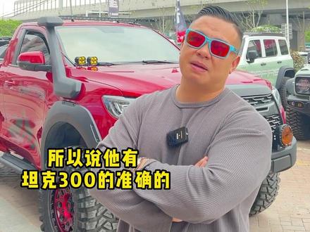 坦克300越野版、边境版、游侠版和枫林铁骑底盘有什么区别?#坦克300 #风林铁骑 #徽星行大浩